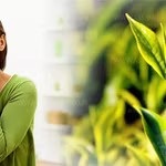 3 Reasons to Switch to Tea
