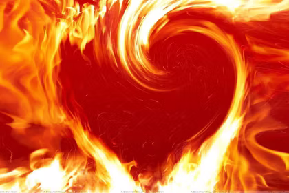 The Power of Passion in Network Marketing