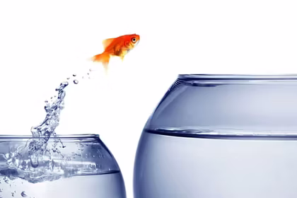 The Power of Conviction