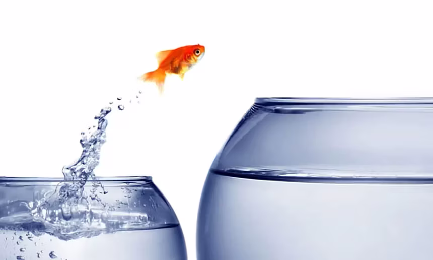 The Power of Conviction