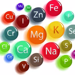 Why a daily intake of minerals is essential for you