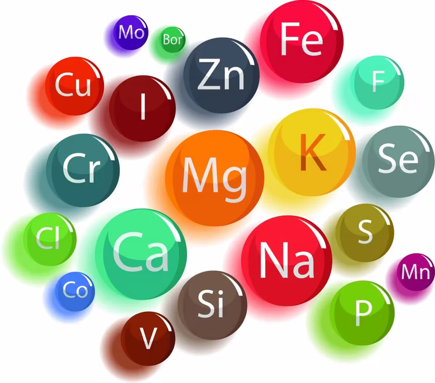 Why a daily intake of minerals is essential for you