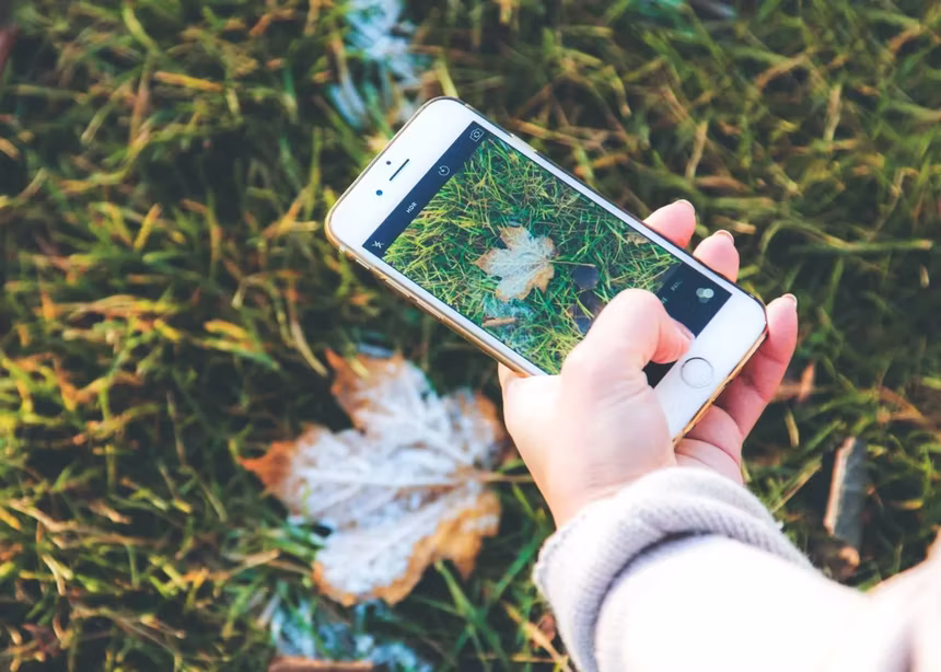 This World Photography Day learn simple ways to up your Insta game