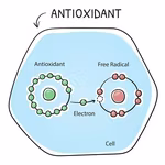 Welcome to the Power of Detoxification | QNET Knowledge Series