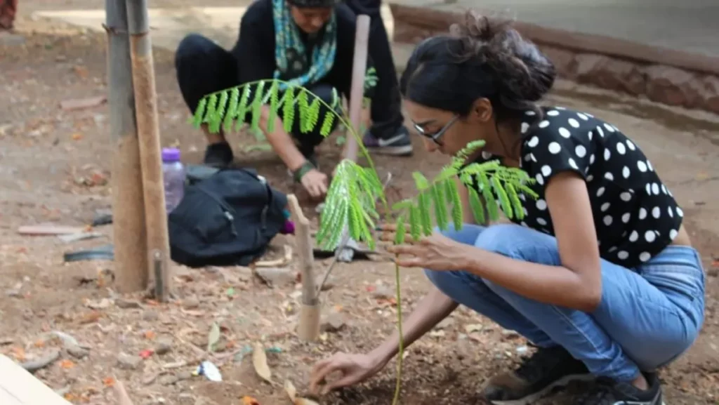 Planting Trees