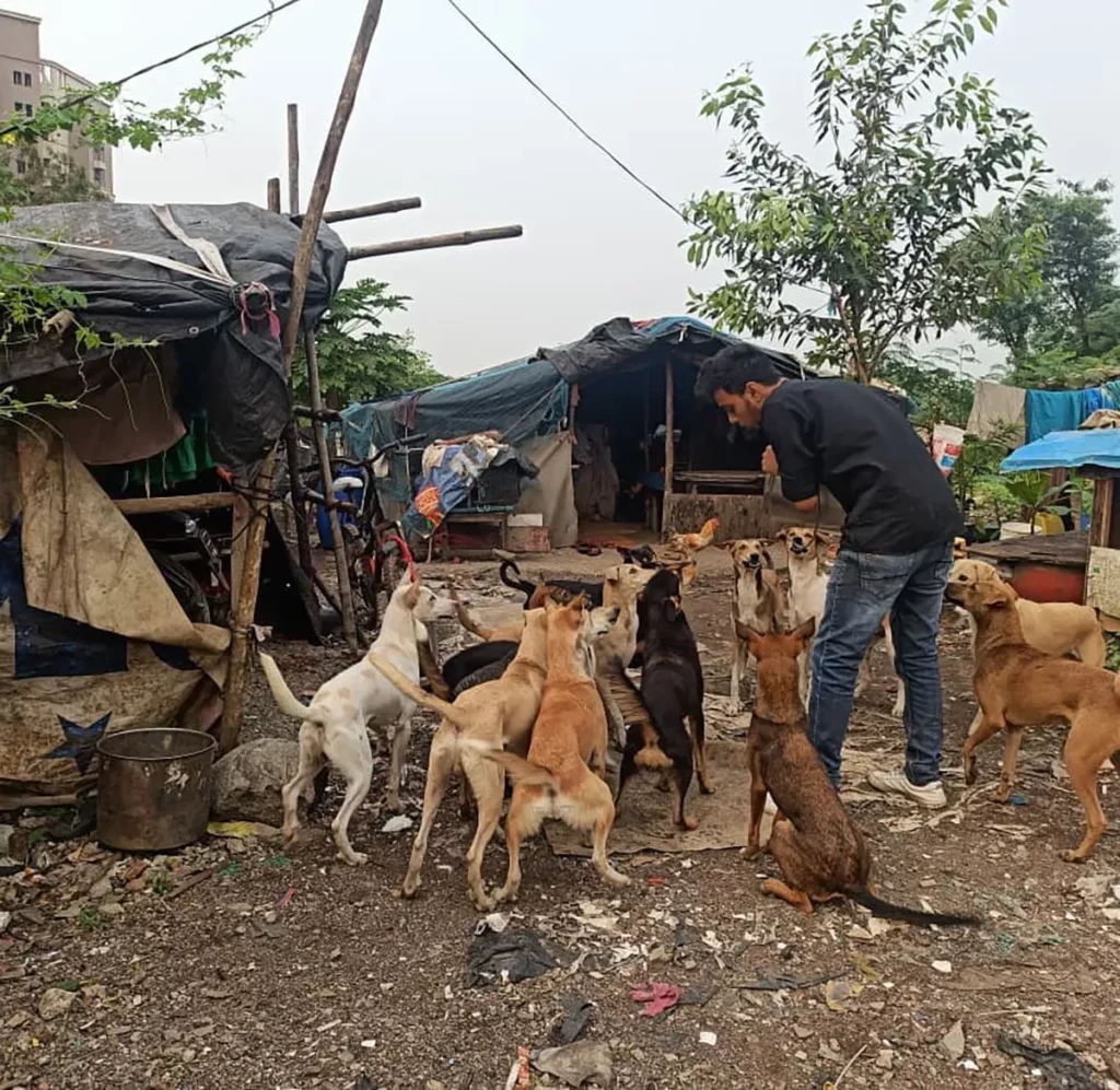 ANANTA Animal Welfare