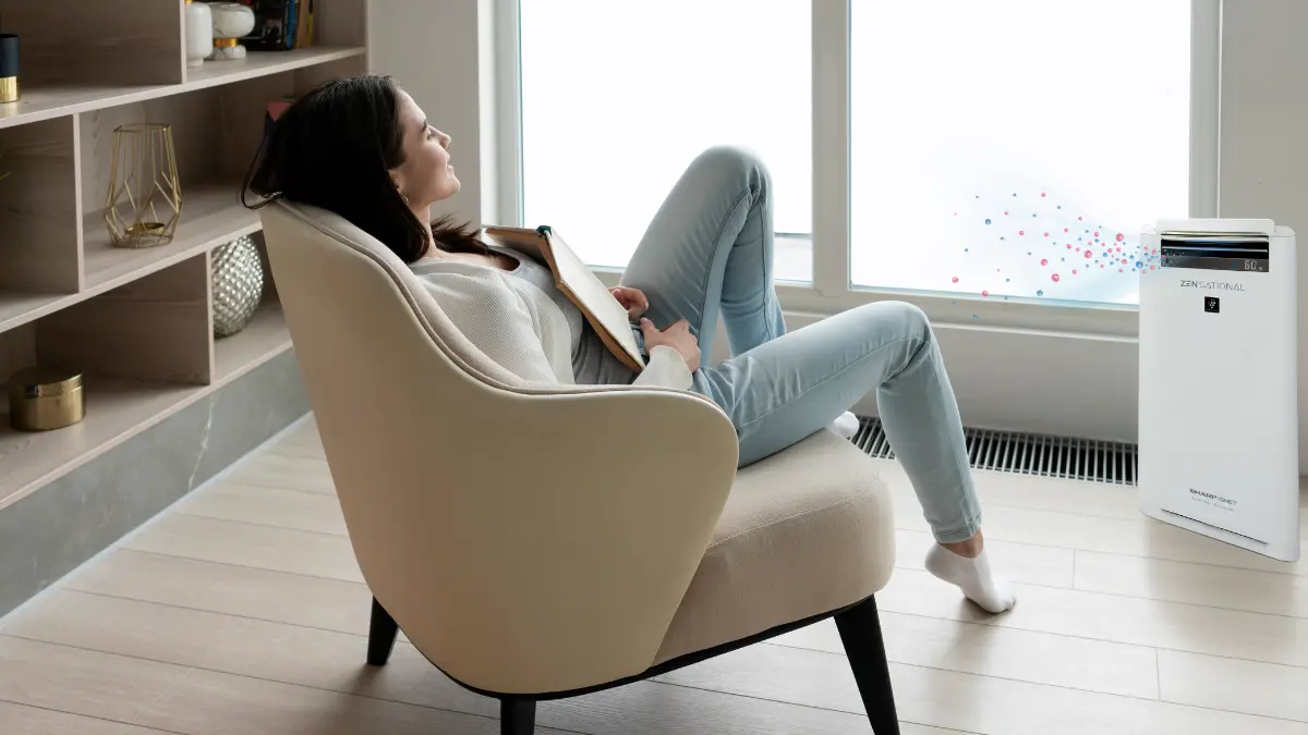 How the SHARP-QNET Zensational Air Purifier Can Help from Air Pollution