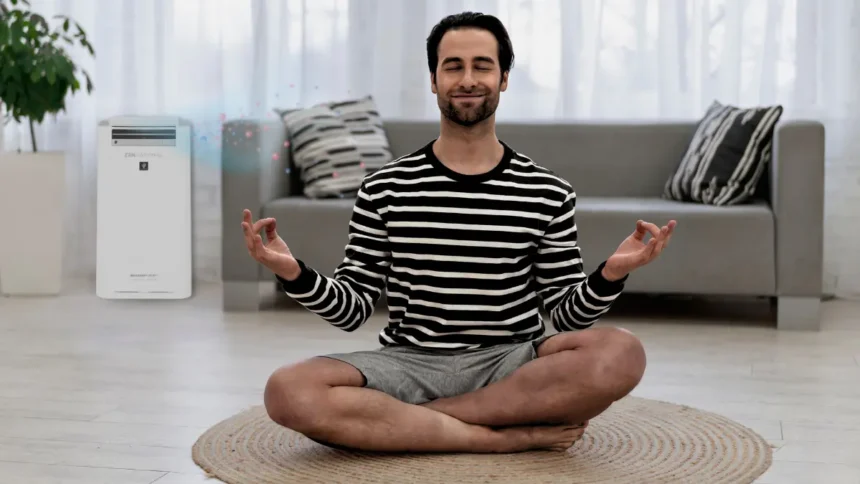 Sharp Airpurifier - Stress Releif