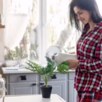 A visual illustrating how reverse osmosis (RO) reject water can be reused in everyday household activities like watering plants
