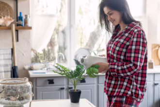 A visual illustrating how reverse osmosis (RO) reject water can be reused in everyday household activities like watering plants